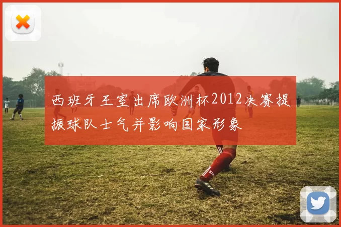 西班牙王室出席欧洲杯2012决赛提振球队士气并影响国家形象