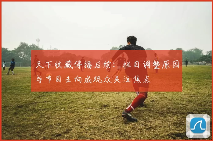 天下收藏停播后续:栏目调整原因与节目去向成观众关注焦点