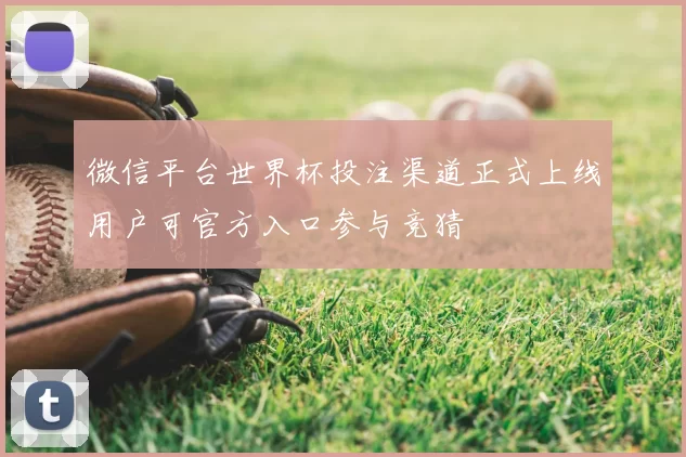 微信平台世界杯投注渠道正式上线用户可官方入口参与竞猜