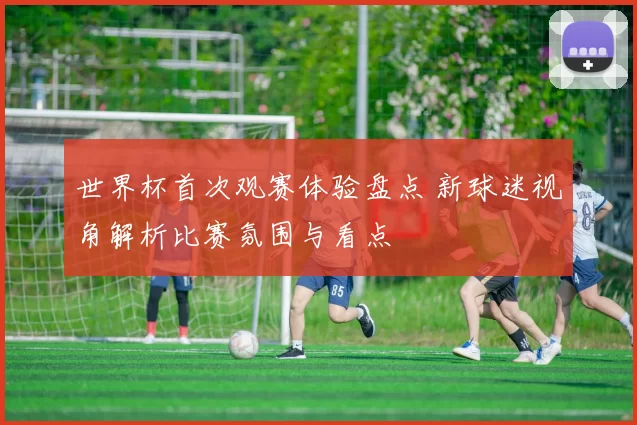世界杯首次观赛体验盘点 新球迷视角解析比赛氛围与看点