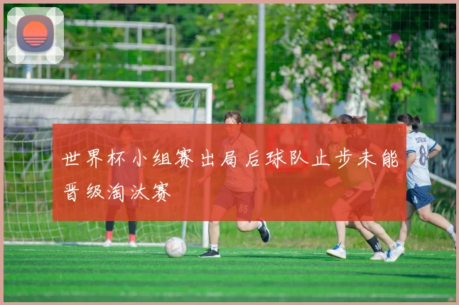 世界杯小组赛出局后球队止步未能晋级淘汰赛